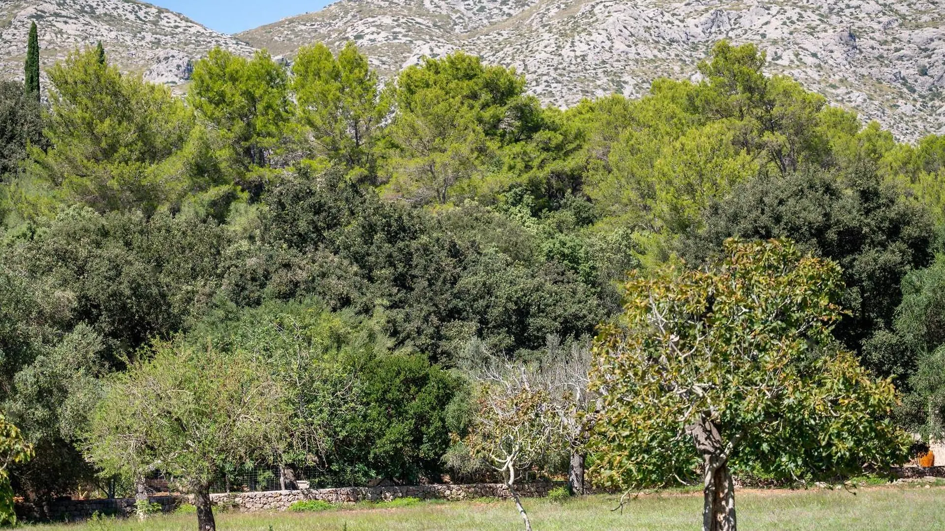 Casa vacanze Finca Tirana Pollença